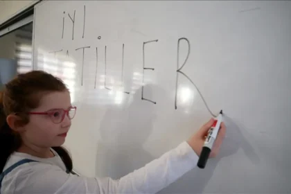 Eğitim